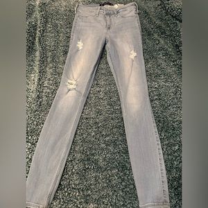 HOLLISTER